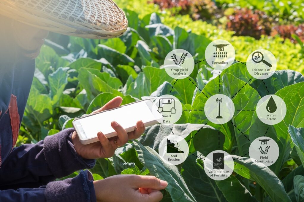 Crop and Soil Monitoring in Agriculture