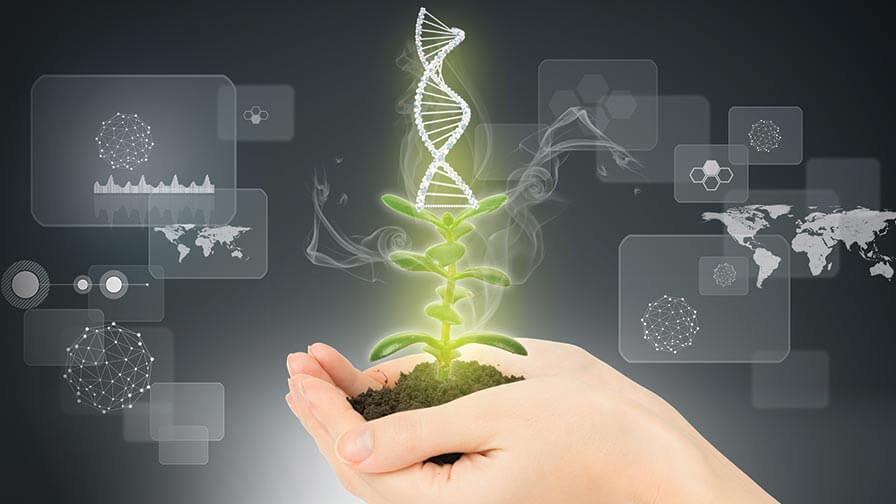 The Future of Genetic Engineering in Agriculture