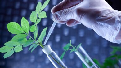 A Comprehensive Understanding of Biotechnology