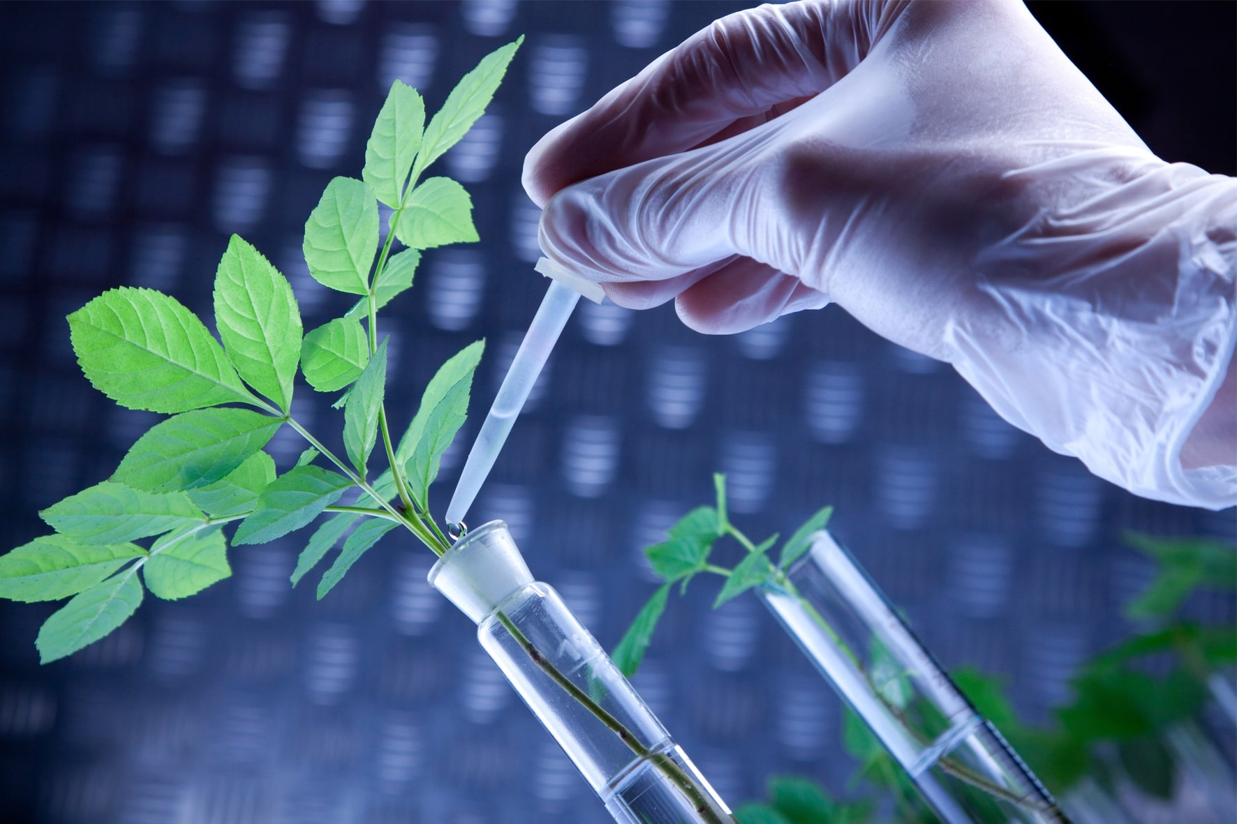Exploring Biotechnology: From Ancient to Modern Times Exploring Biotechnology: From Ancient to Modern Times