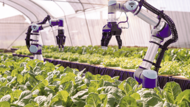 The Revolution of Artificial Intelligence in Agriculture