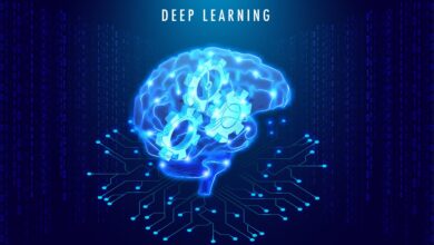 Deep Learning Software